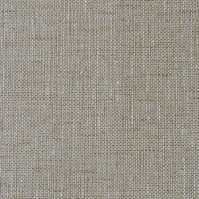 Onwijs Vintage-behang-structuur-beige-detail - Kriz WW-68
