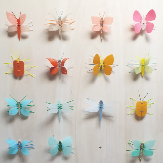 insecten