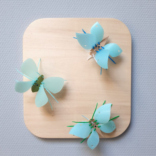 insecten